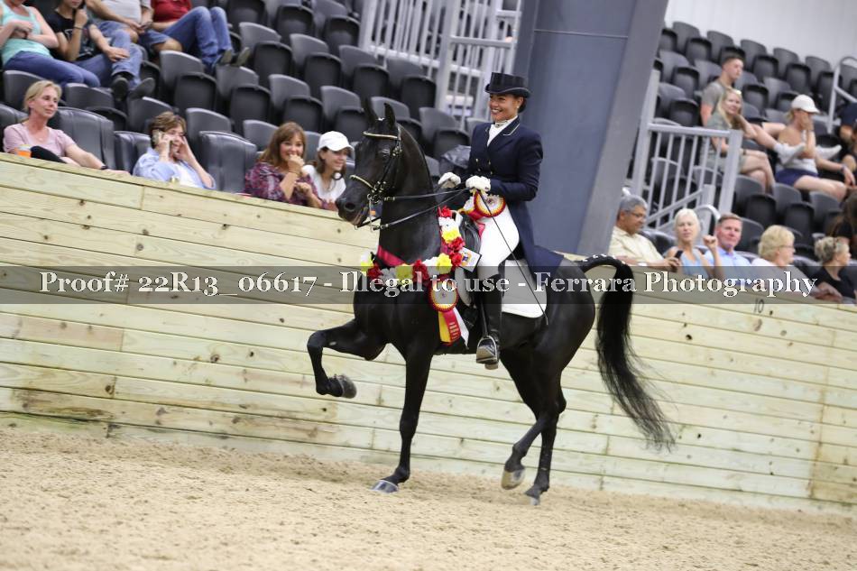 Proof 22R13_06617