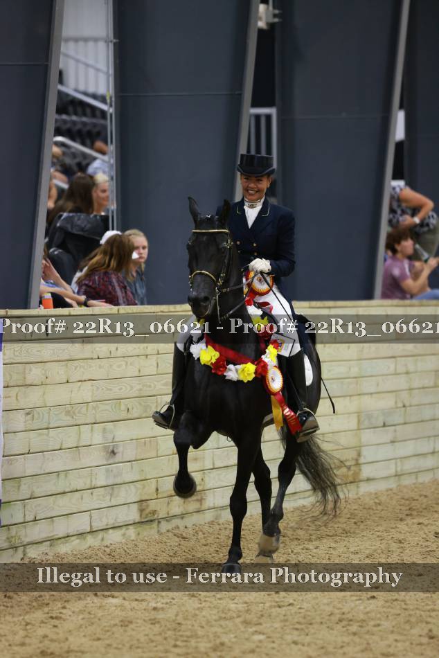 Proof 22R13_06621