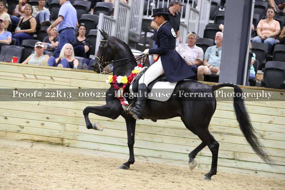 Proof 22R13_06622