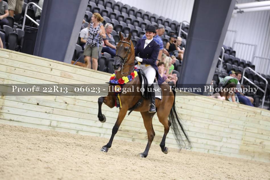 Proof 22R13_06623