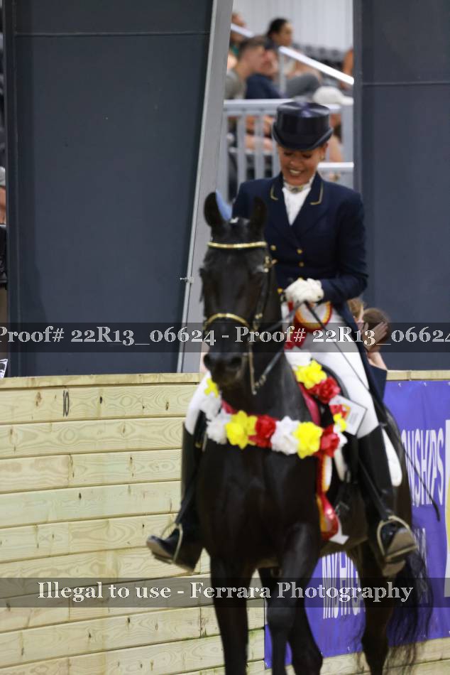 Proof 22R13_06624
