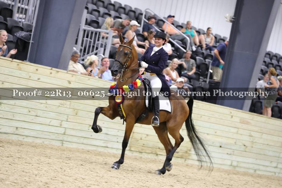 Proof 22R13_06625