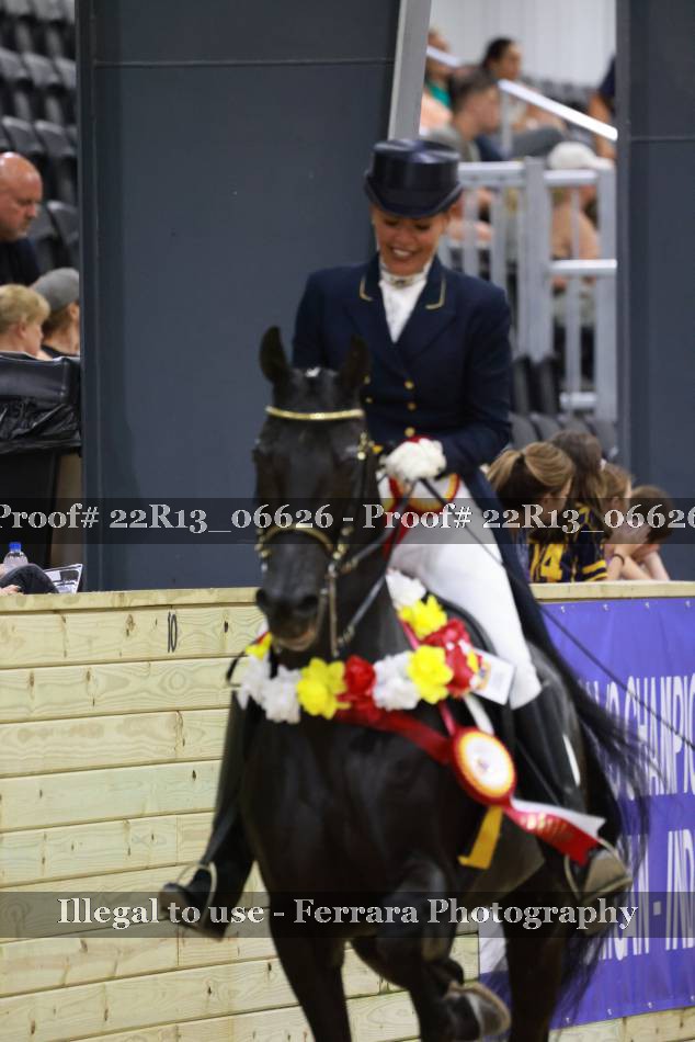 Proof 22R13_06626