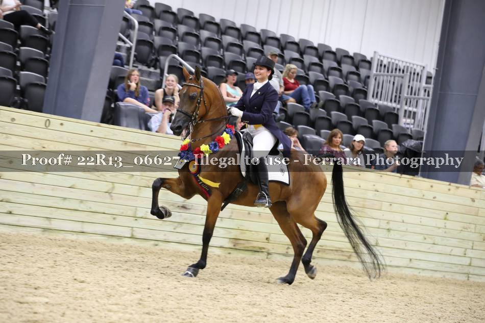 Proof 22R13_06627