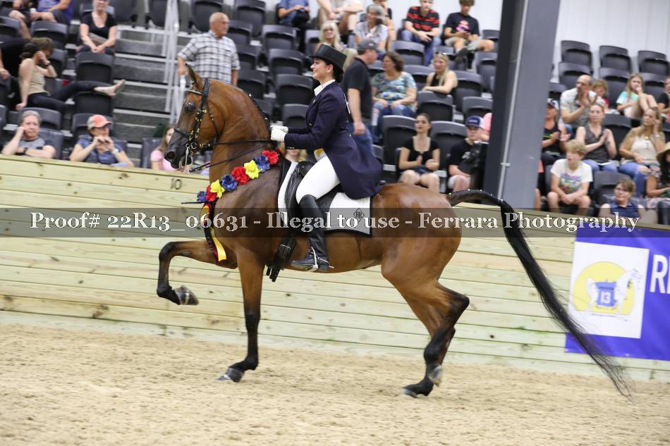 Proof 22R13_06631