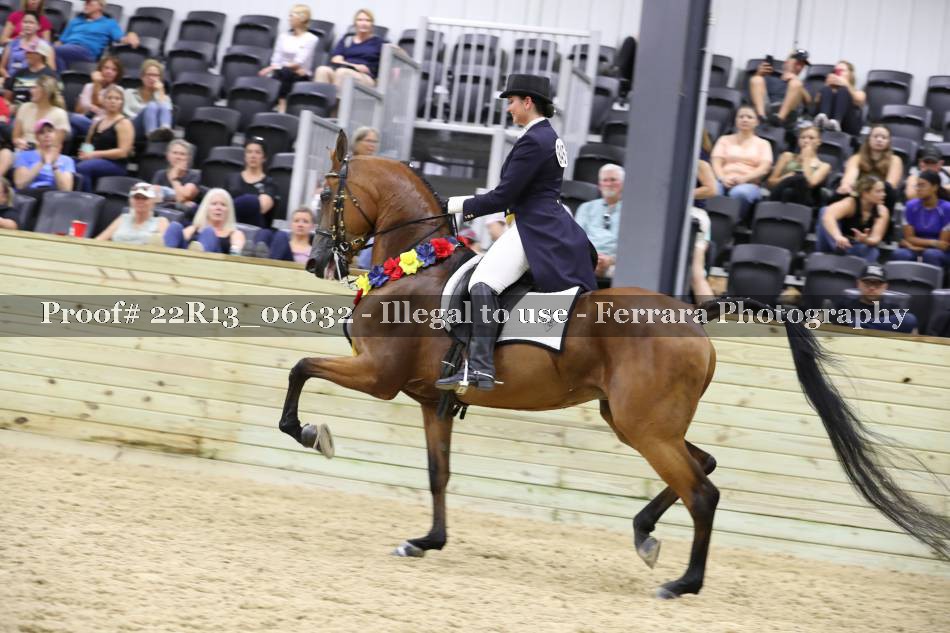 Proof 22R13_06632