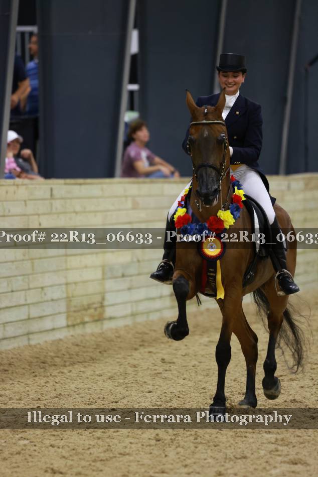 Proof 22R13_06633