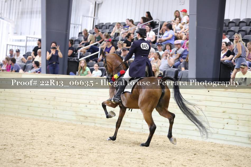 Proof 22R13_06635
