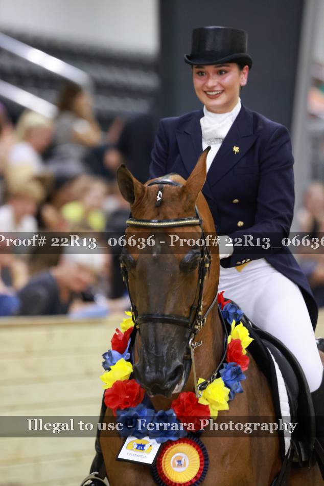 Proof 22R13_06636