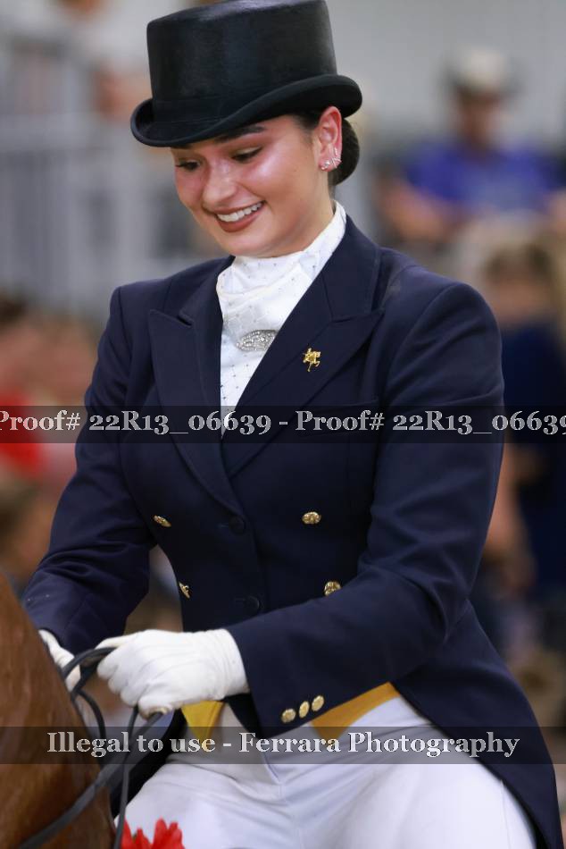 Proof 22R13_06639