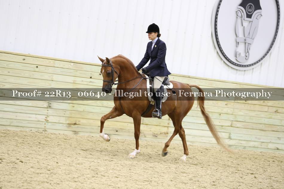 Proof 22R13_06640