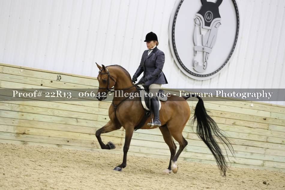 Proof 22R13_06642