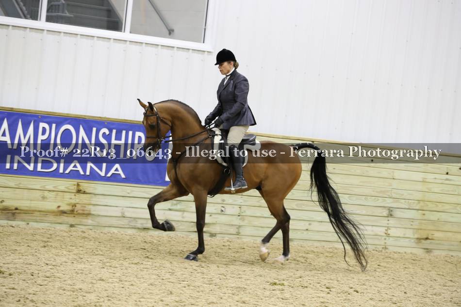 Proof 22R13_06643
