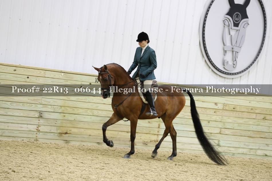 Proof 22R13_06644