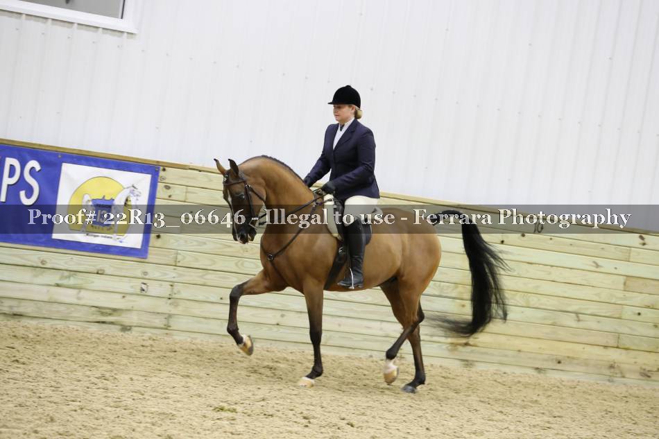 Proof 22R13_06646