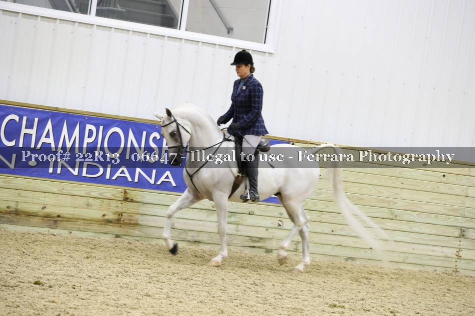 Proof 22R13_06647