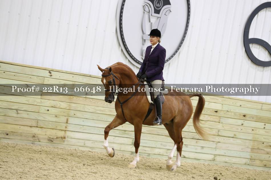 Proof 22R13_06648