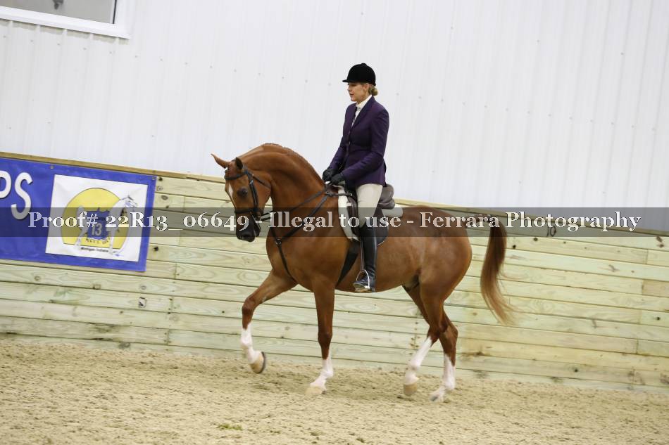 Proof 22R13_06649