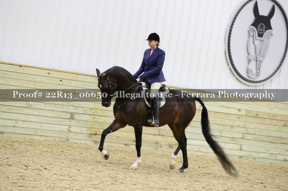 Proof 22R13_06650