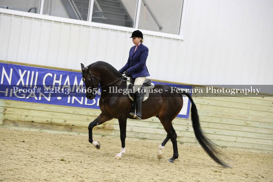 Proof 22R13_06651