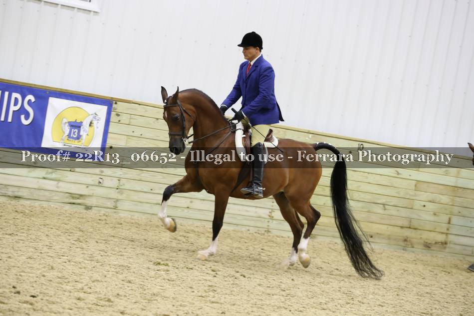 Proof 22R13_06652