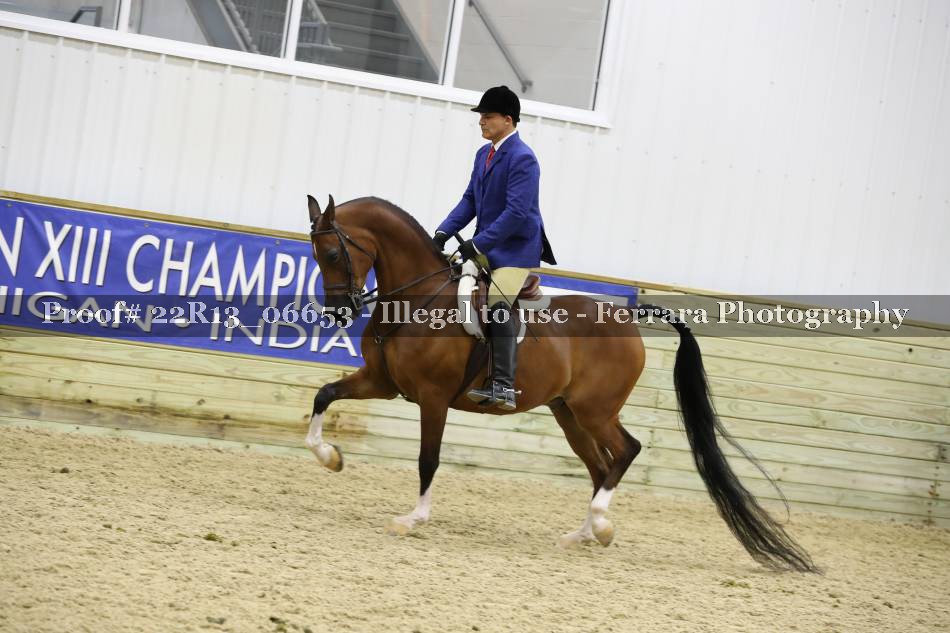 Proof 22R13_06653