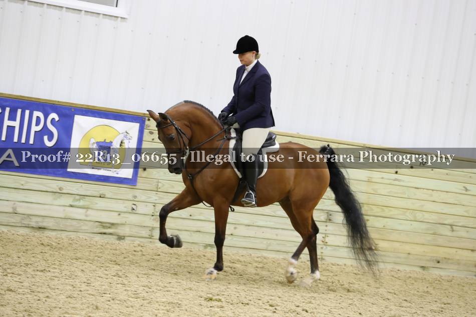 Proof 22R13_06655