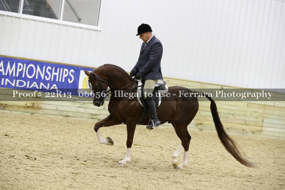 Proof 22R13_06656