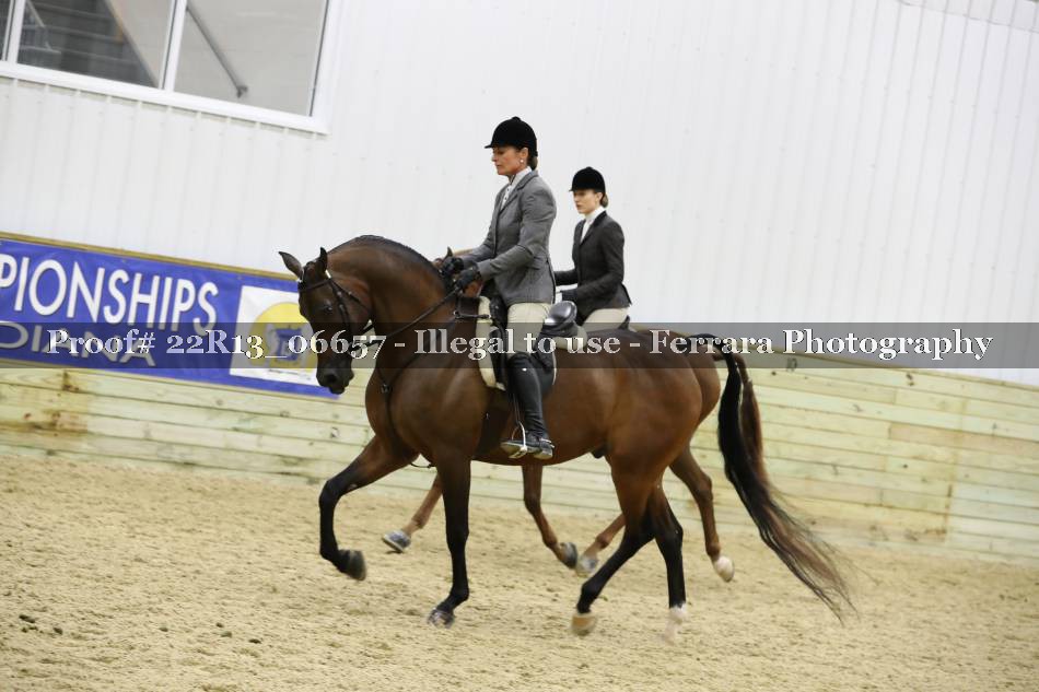 Proof 22R13_06657