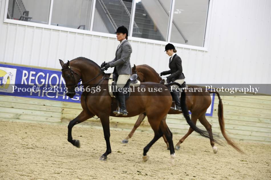 Proof 22R13_06658