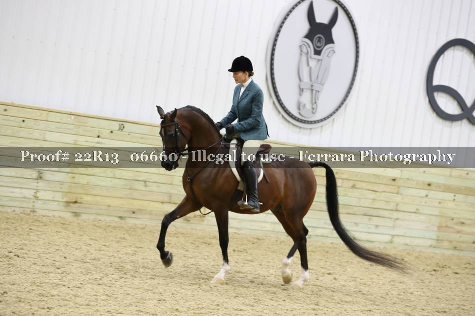 Proof 22R13_06660
