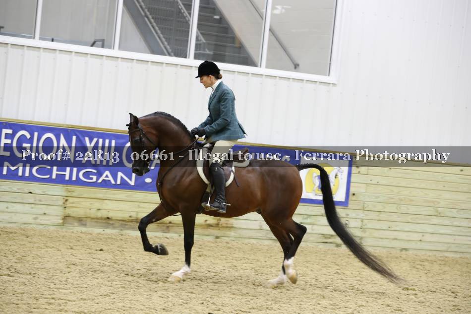 Proof 22R13_06661