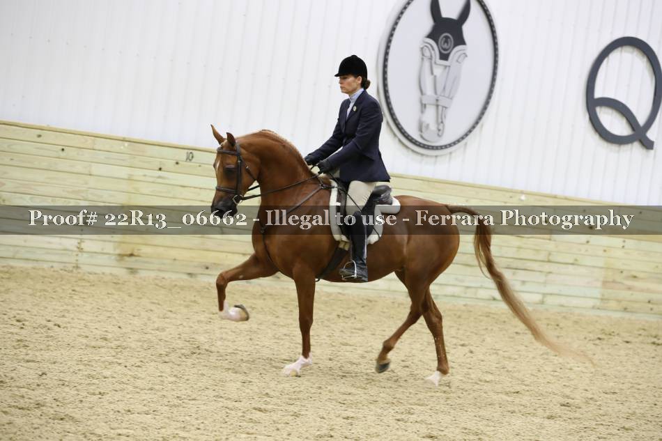 Proof 22R13_06662