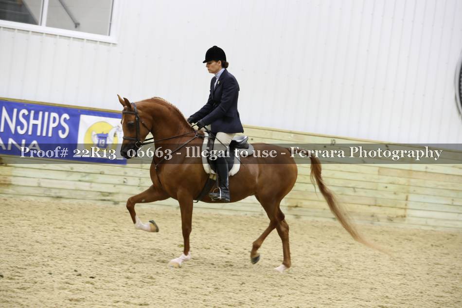 Proof 22R13_06663
