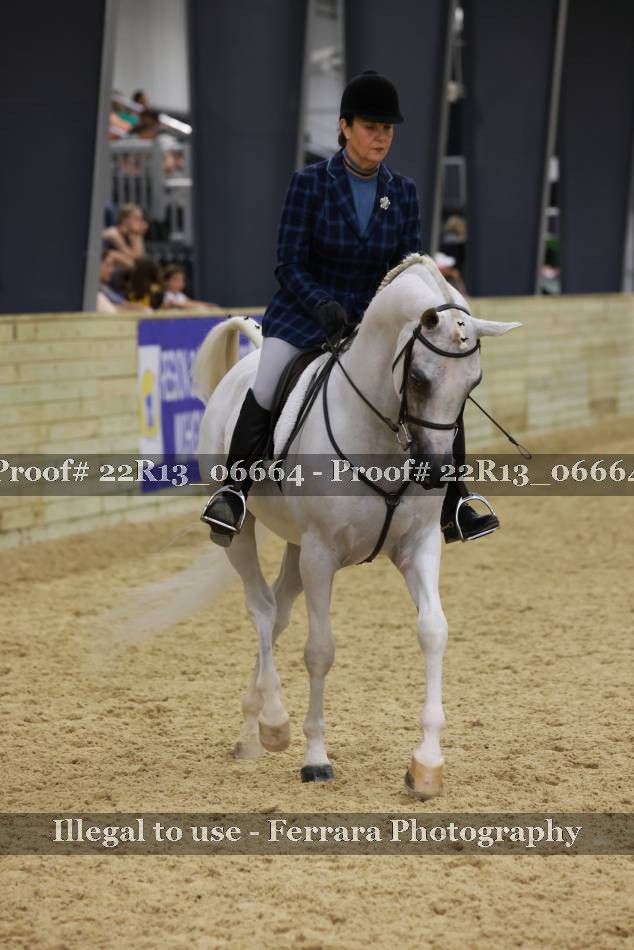 Proof 22R13_06664