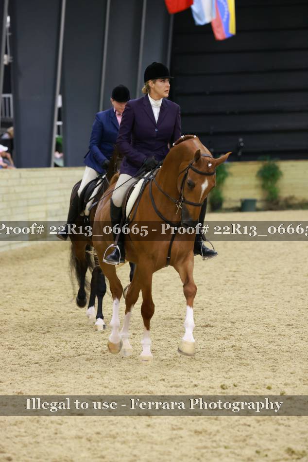 Proof 22R13_06665