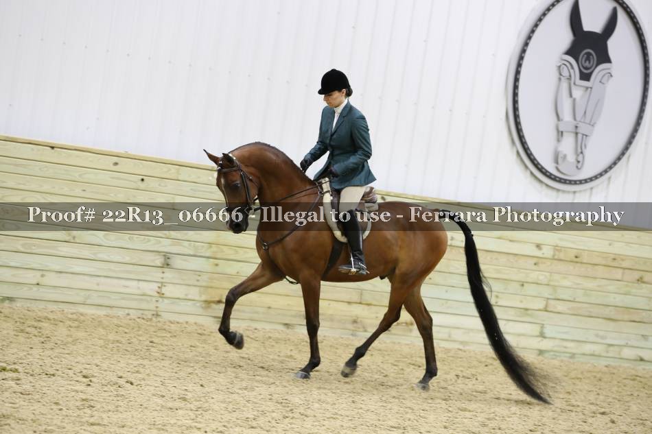 Proof 22R13_06666