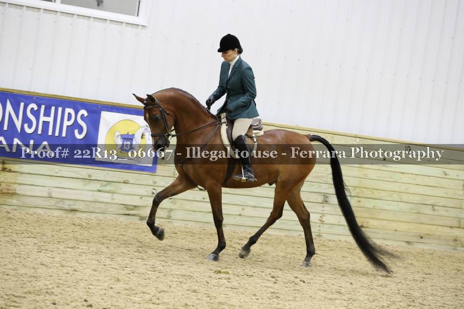 Proof 22R13_06667