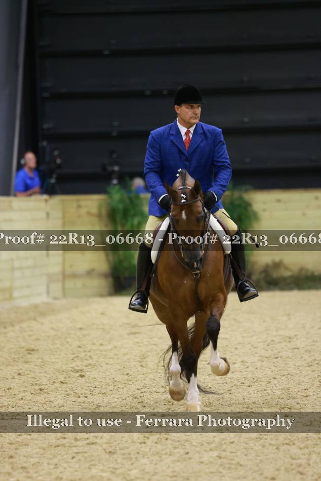 Proof 22R13_06668