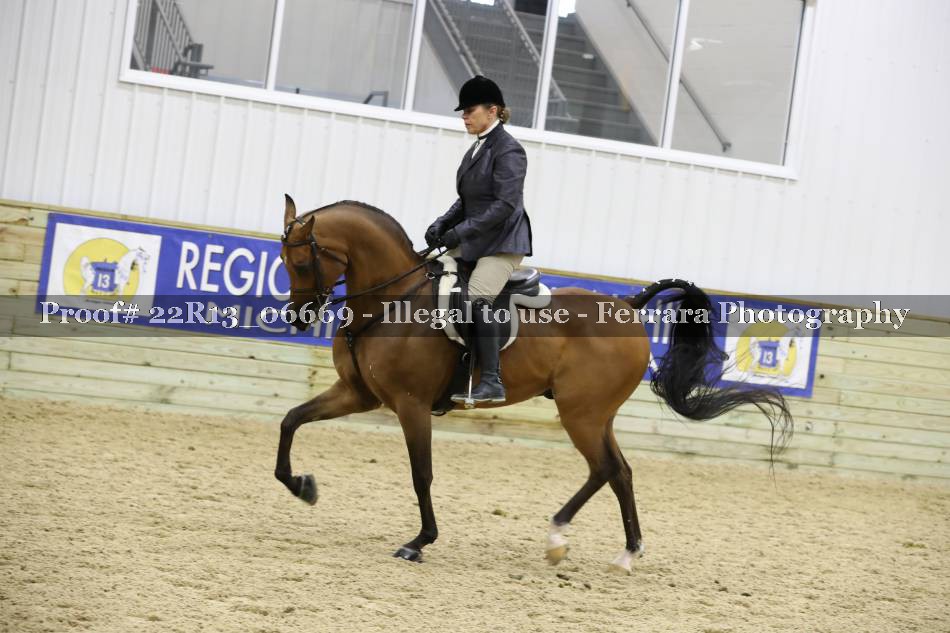 Proof 22R13_06669