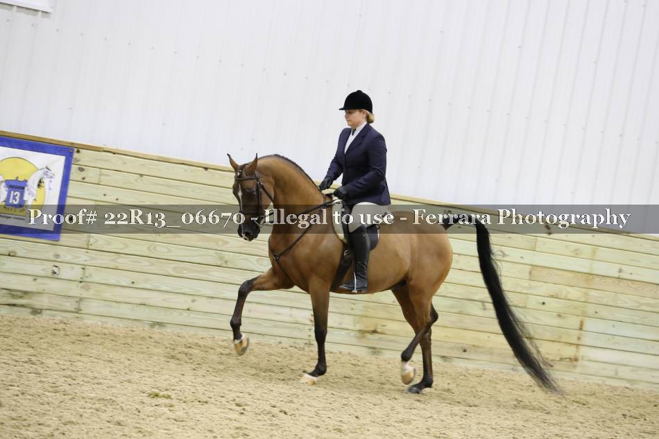 Proof 22R13_06670