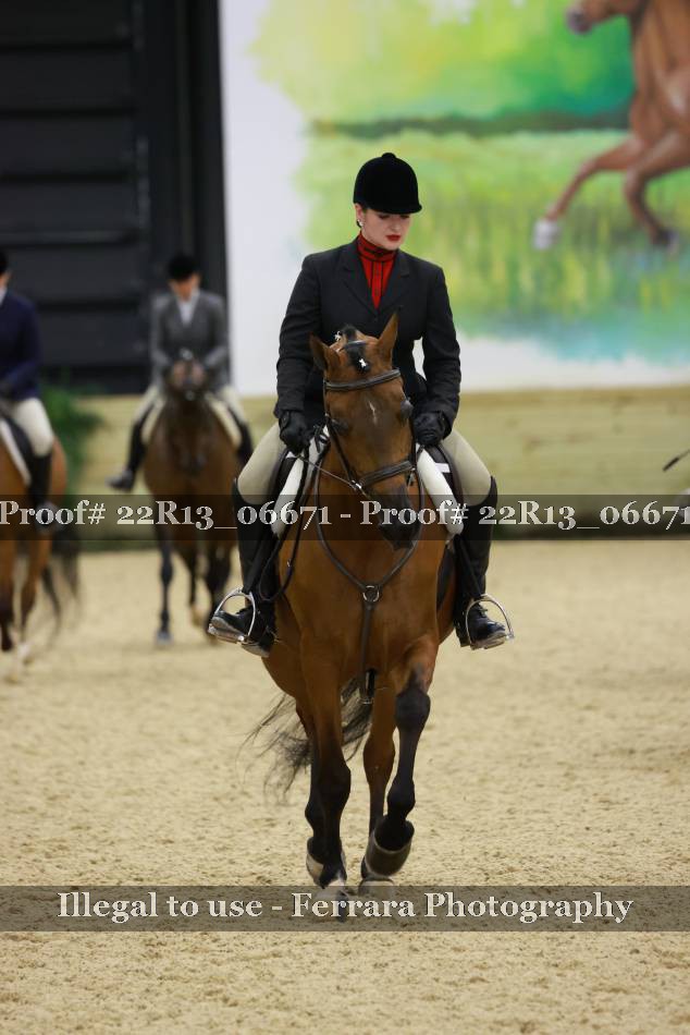 Proof 22R13_06671
