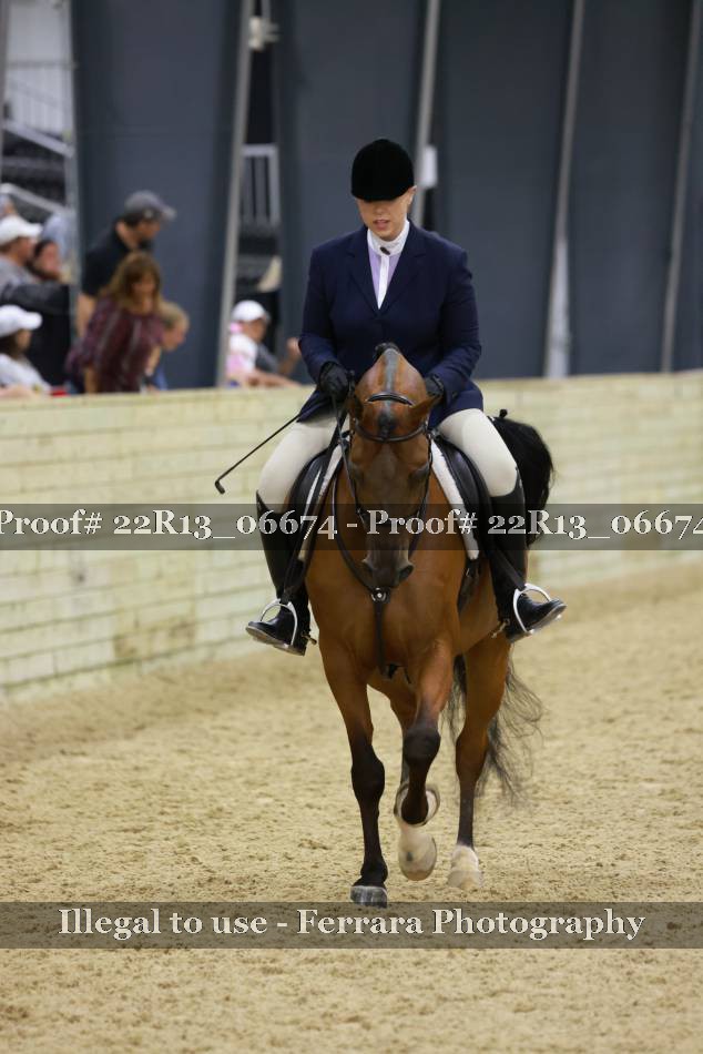 Proof 22R13_06674