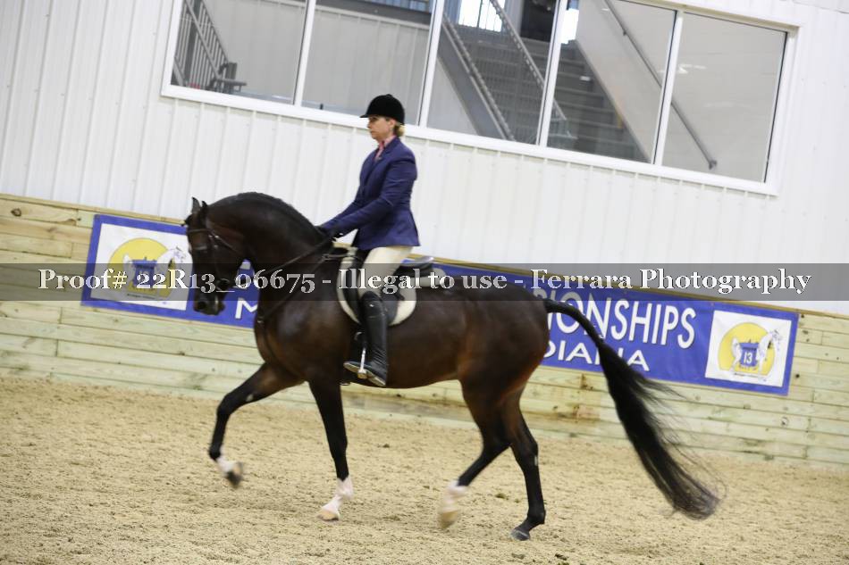 Proof 22R13_06675