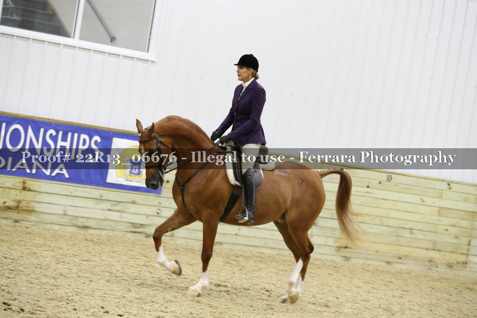 Proof 22R13_06676