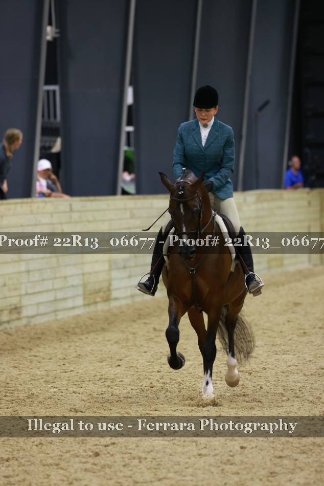 Proof 22R13_06677
