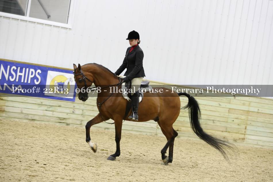 Proof 22R13_06678