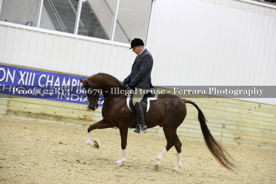 Proof 22R13_06679