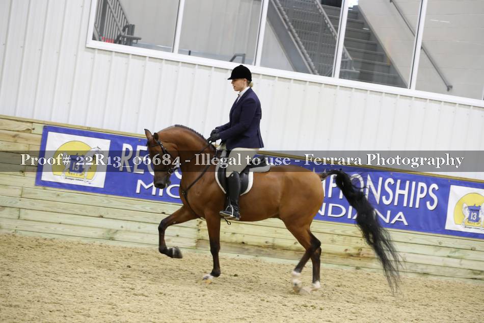 Proof 22R13_06684