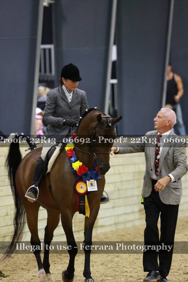 Proof 22R13_06692